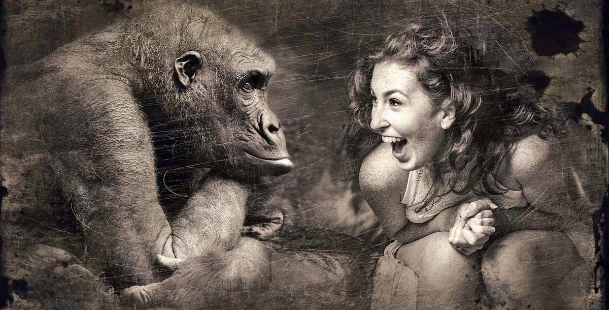 Gorilla schaut eine sommersprossenbedeckte Frau an. Diese lacht aus vollem Herzen.